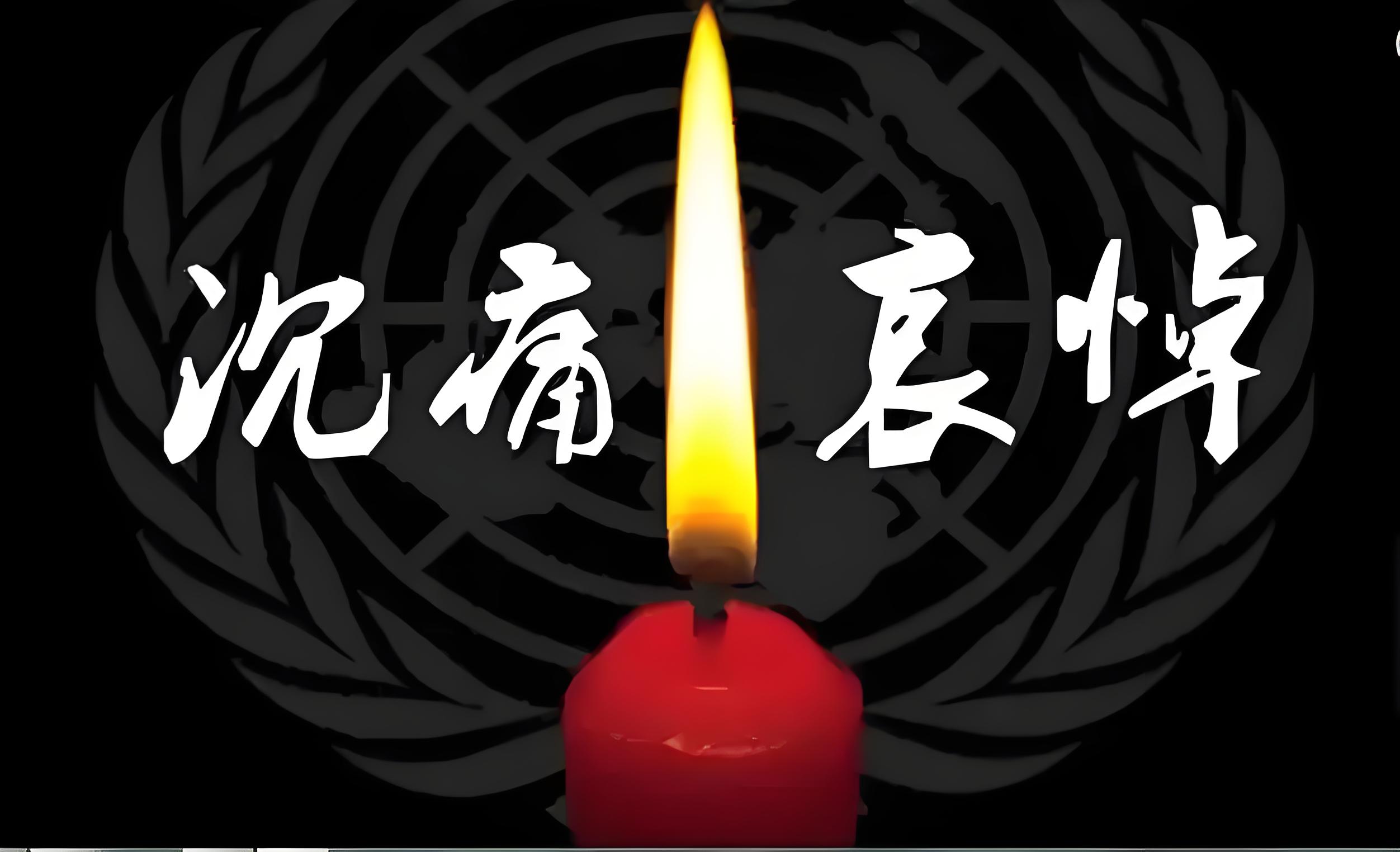 笑袋鸡一路走好-许愿论坛